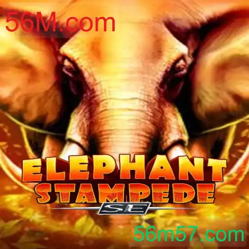 ElephantStampedeSE